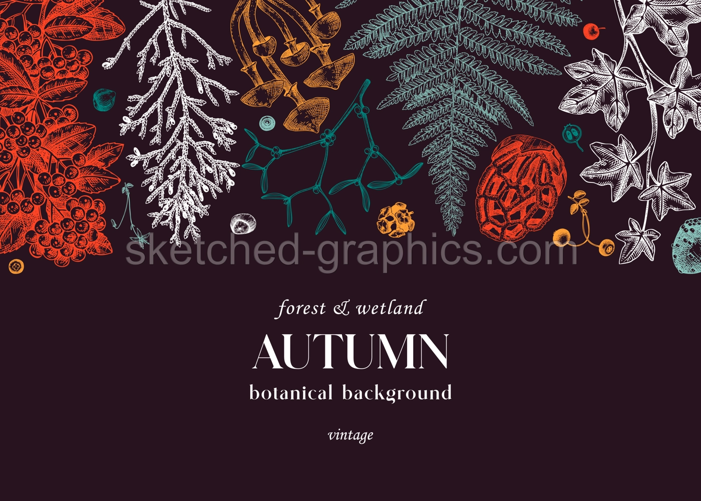 Autumn Botanical Banner Illustration